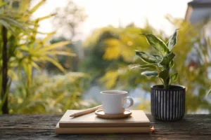 shutterstock_2666309235