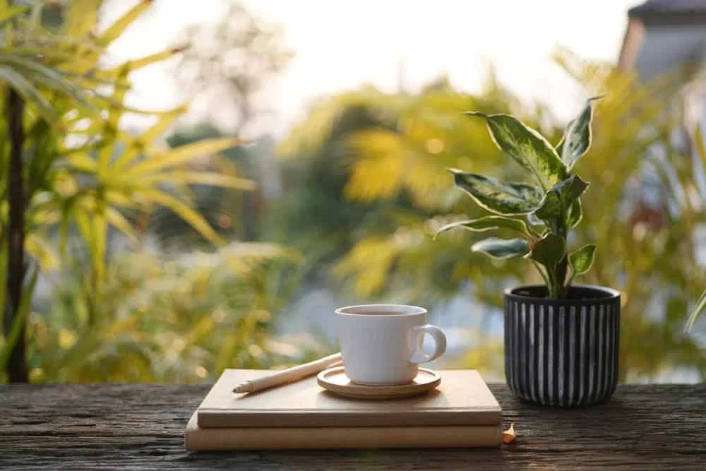 shutterstock_2666309235